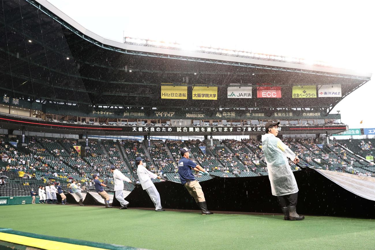 阪神対DeNA　雨が弱まり内野のシートが外される甲子園球場（撮影・上田博志）