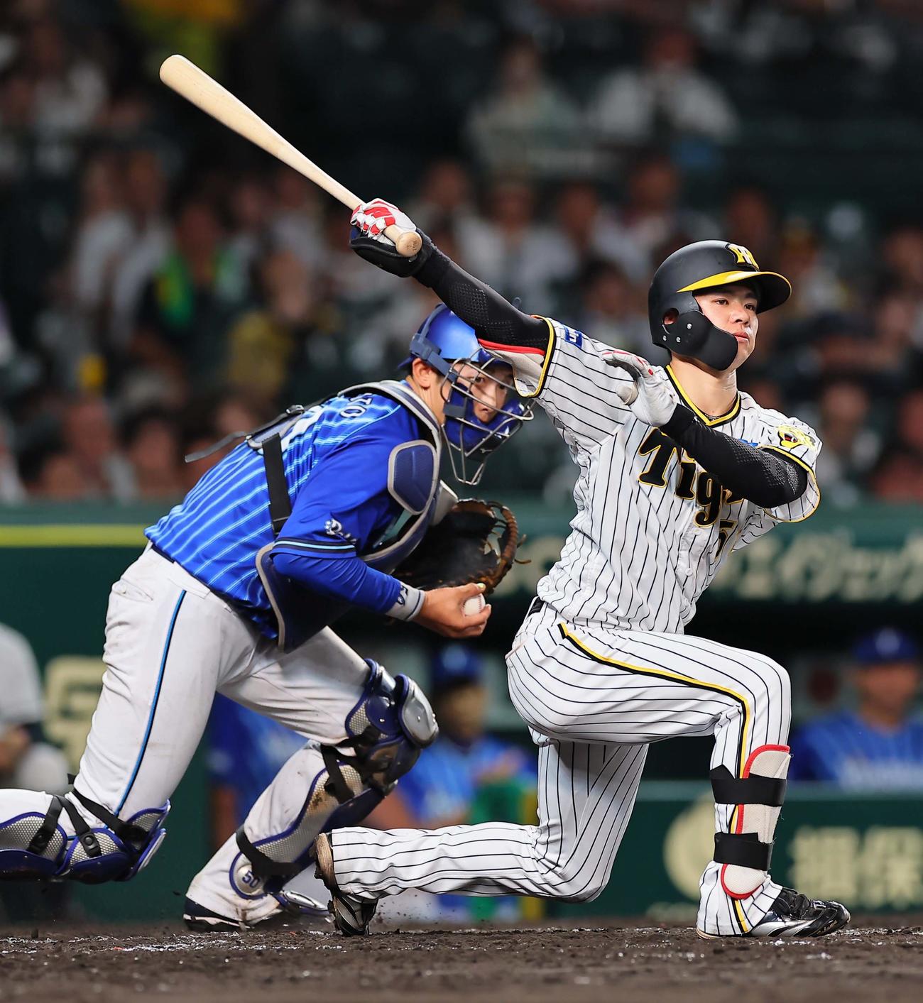 阪神対DeNA 5回裏阪神2死一塁、中野は三振に倒れる（撮影・上田博志）