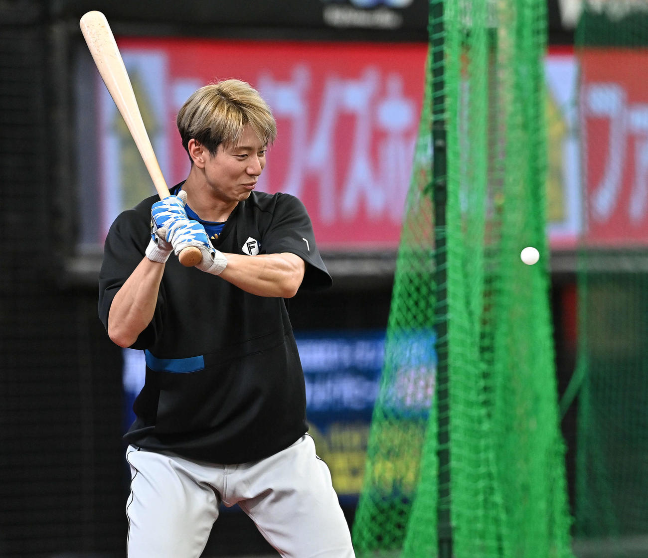 西武対日本ハム　試合前練習でピンポン球で目慣らしする日本ハム松本剛（撮影・滝沢徹郎）
