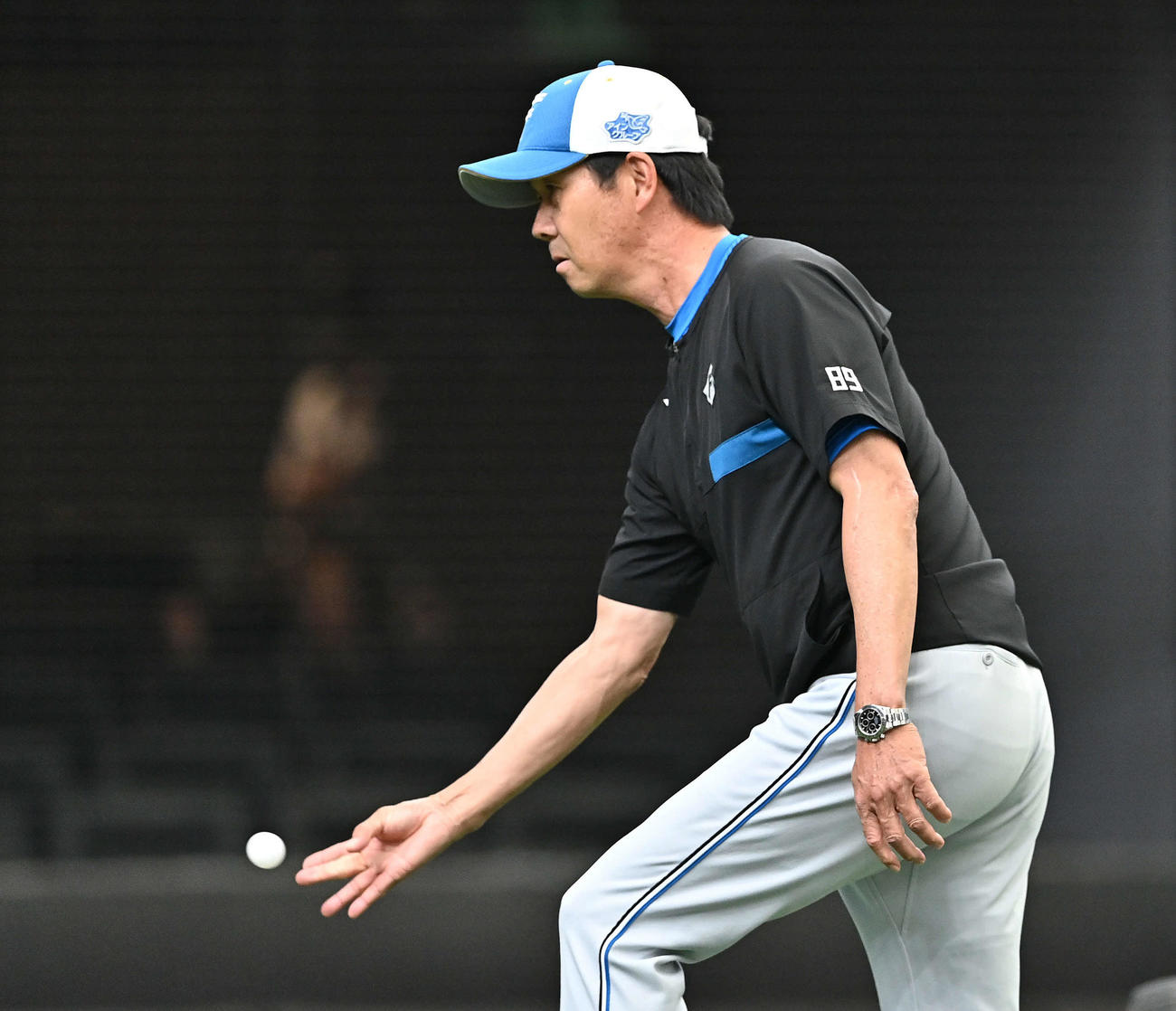 西武対日本ハム　試合前練習で選手にピンポン球を投げる日本ハム八木打撃コーチ（撮影・滝沢徹郎）