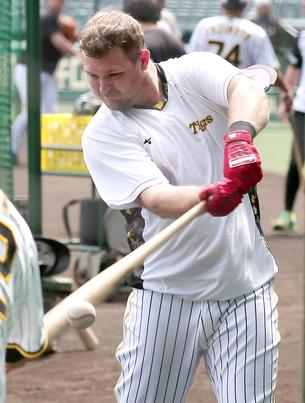 阪神対中日　ティー打撃を行う阪神ノイジー（撮影・上山淳一）