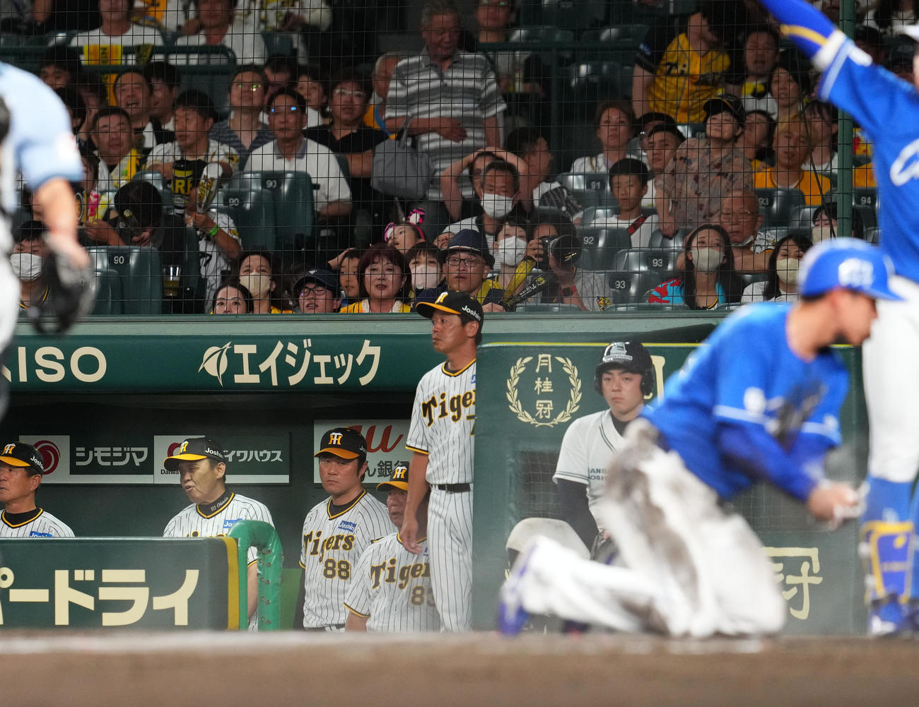 阪神対中日　10回表中日2死一、二塁、大島に適時打を許し、厳しい顔をみせる阪神岡田監督（左から2人目）（撮影・藤尾明華）