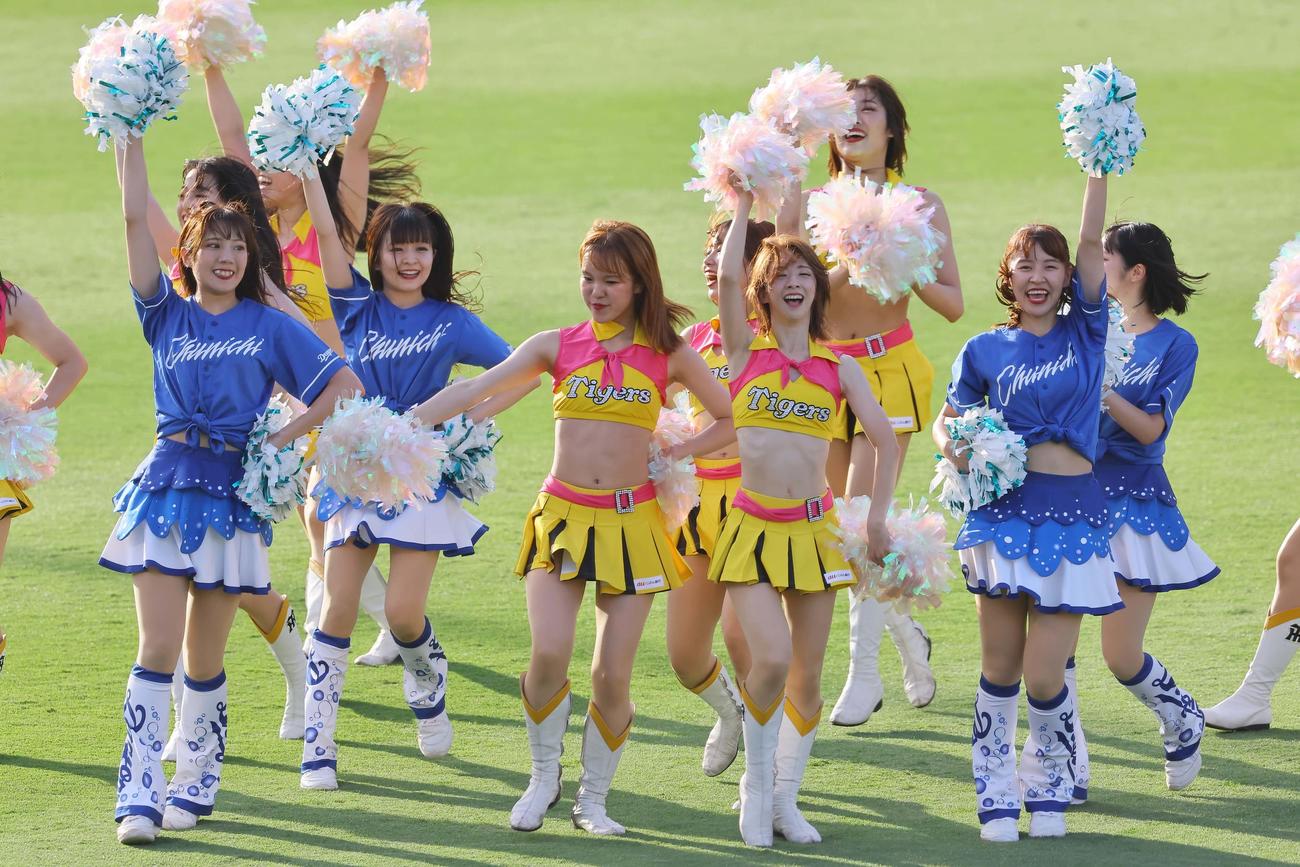 パフォーマンスを披露するチアドラゴンズ（青）とタイガースガールズ（撮影・上田博志）