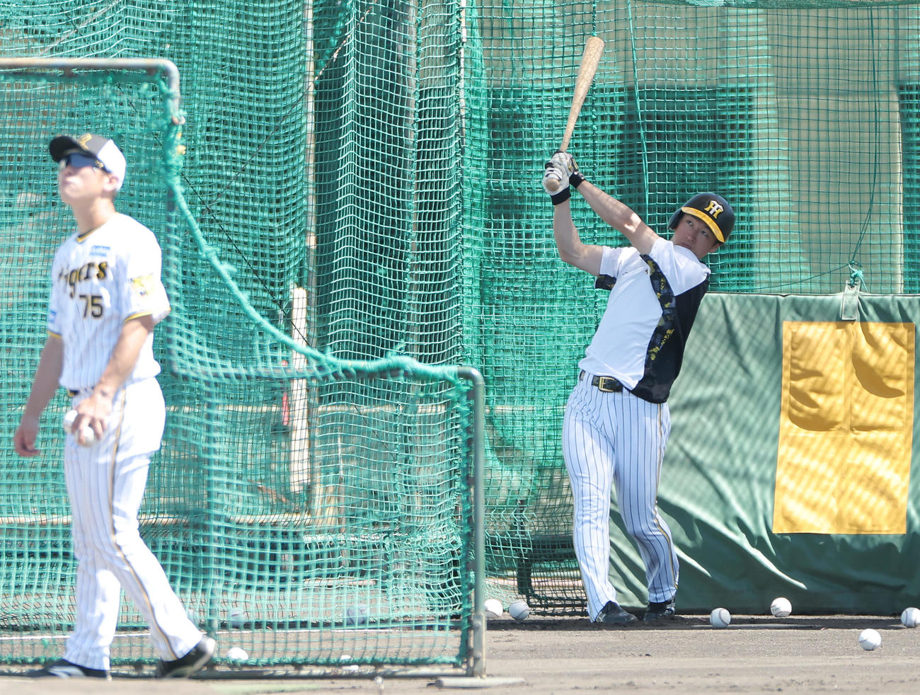 鳴尾浜球場でフリー打撃を行う阪神近本（撮影・前田充）