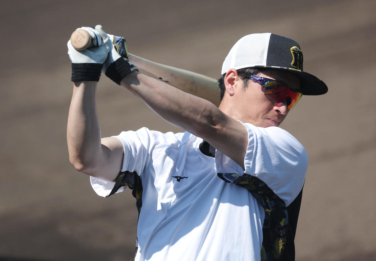 鳴尾浜球場で調整する阪神近本（撮影・前田充）