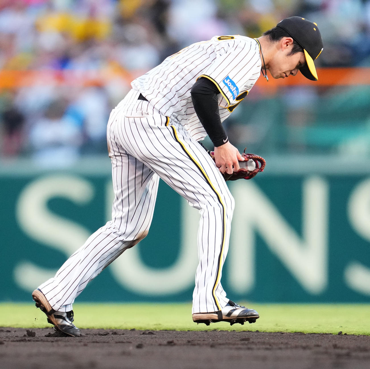 阪神対中日　5回表中日無死、ビシエドの二直をジャンプして好捕するした阪神二塁手中野（撮影・藤尾明華）