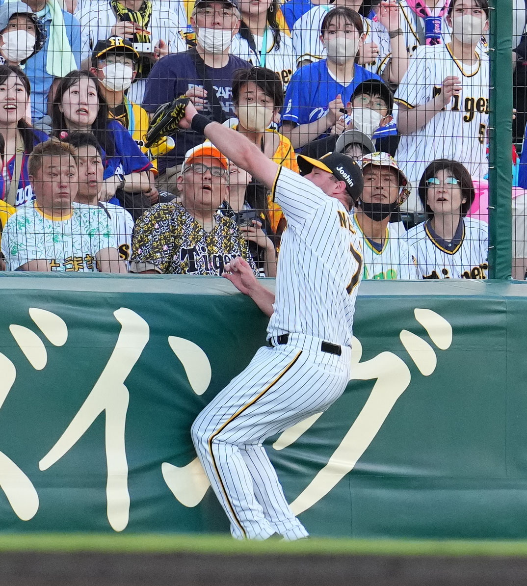 阪神対中日　2回表中日1死、宇佐見の左邪飛を好捕する阪神ノイジー（撮影・藤尾明華）