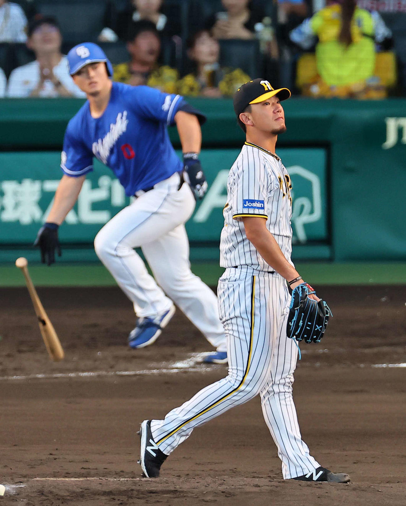 阪神対中日　4回表中日1死、伊藤将（右）は細川に左越えソロ本塁打を浴びる（撮影・上田博志）