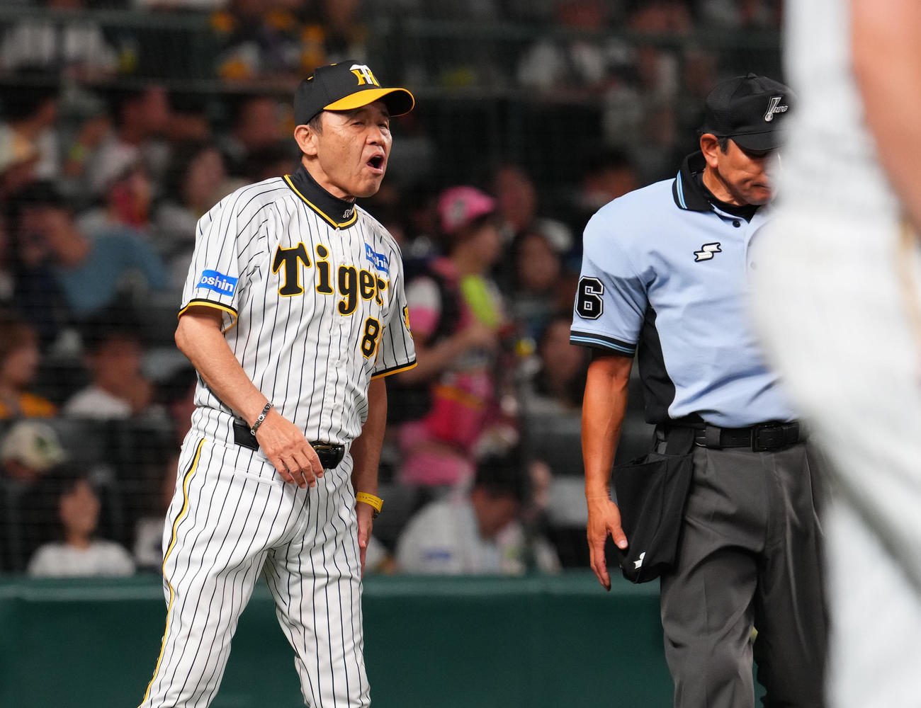 阪神対中日　9回表、交代告げる阪神岡田監督（撮影・藤尾明華）