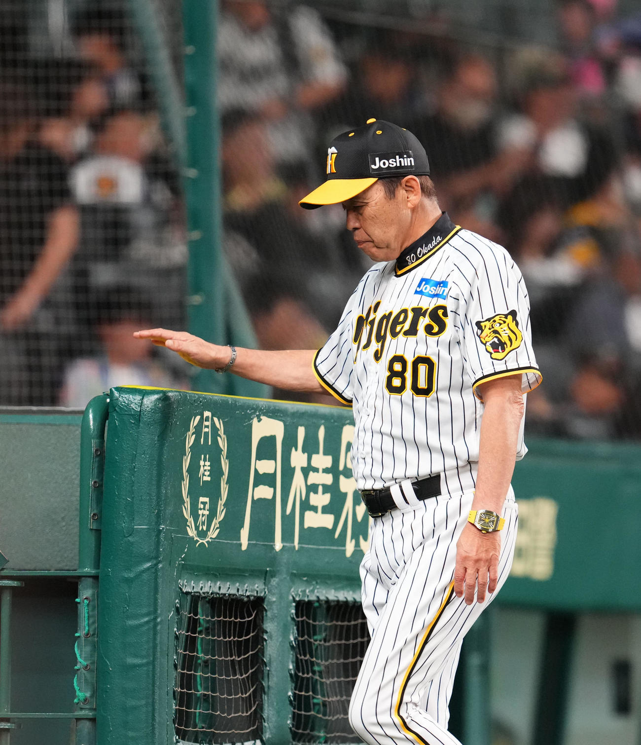 阪神対中日　9回表、交代告げベンチに戻る阪神岡田監督（撮影・藤尾明華）