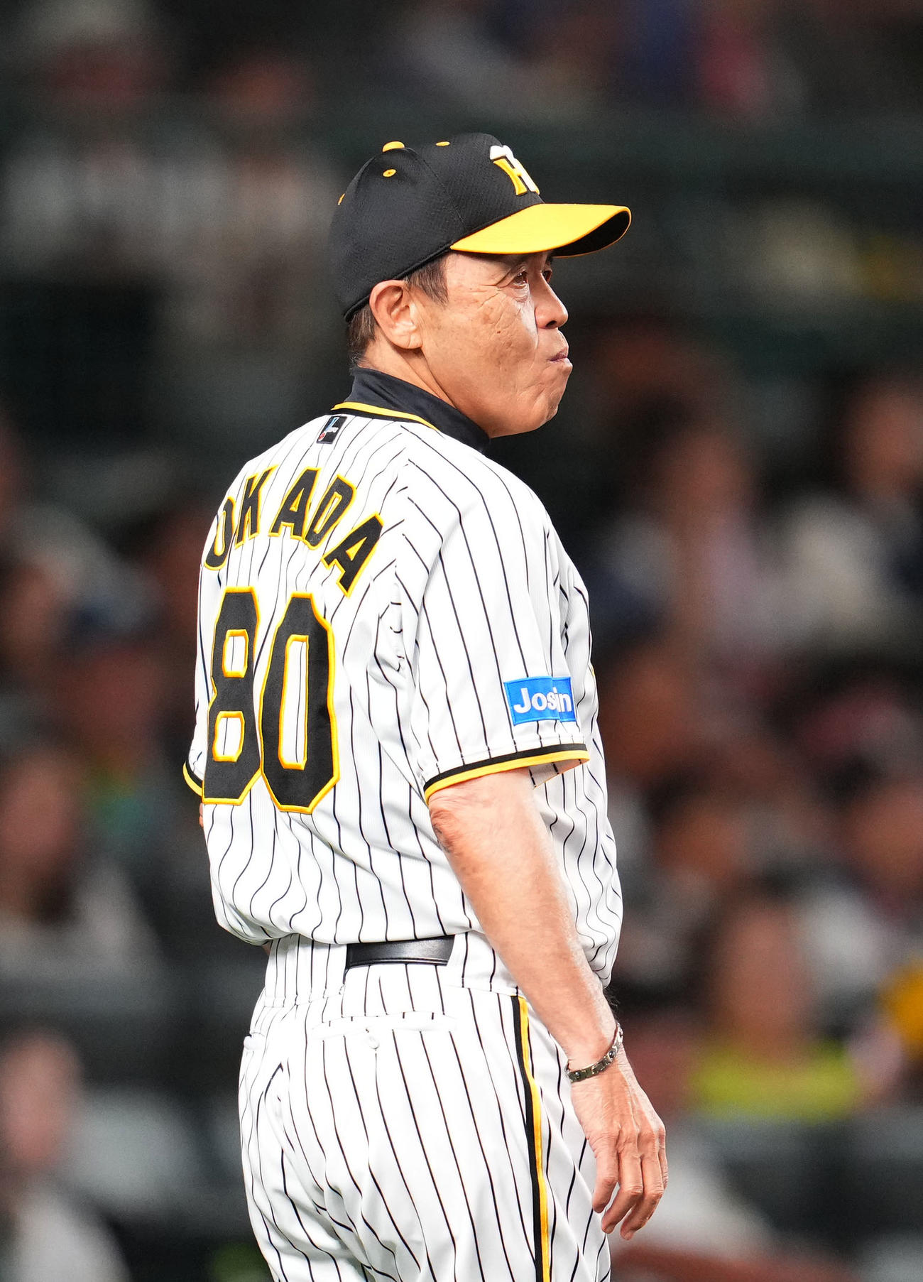 阪神対中日　8回表、交代告げる阪神岡田監督（撮影・藤尾明華）