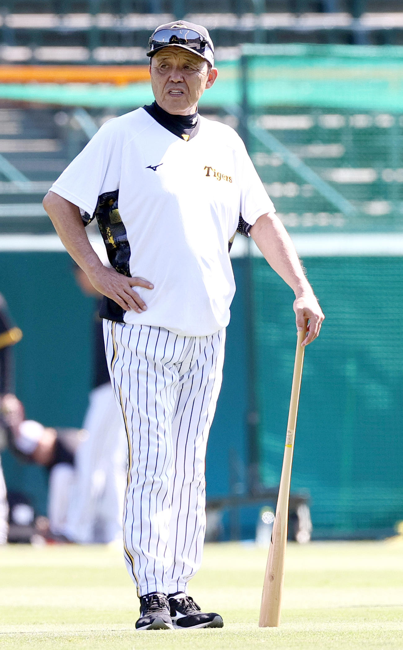 阪神対中日　猛暑の中、練習を見守る阪神岡田監督（撮影・上山淳一）