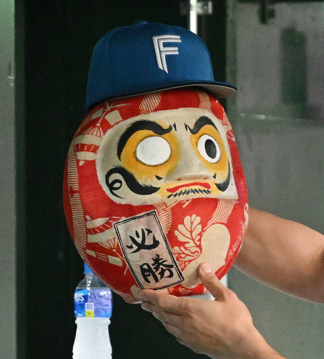 西武対日本ハム　日本ハム加藤豪が持ち込んだだるま（撮影・滝沢徹郎）