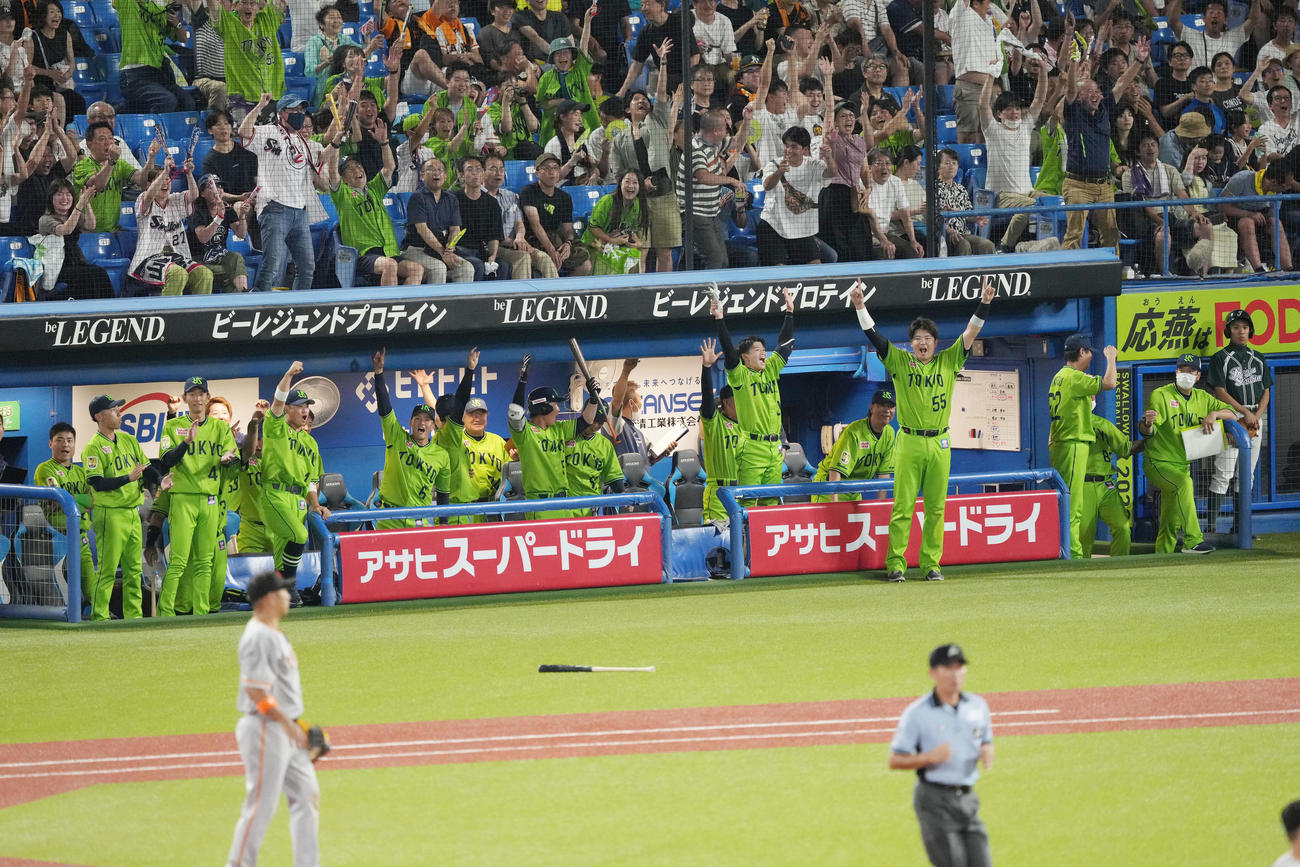 ヤクルト対巨人　4回裏ヤクルト2死満塁、内山が満塁本塁打を放ち、ばんざいで喜ぶ村上（右）らヤクルトベンチ（撮影・狩俣裕三）