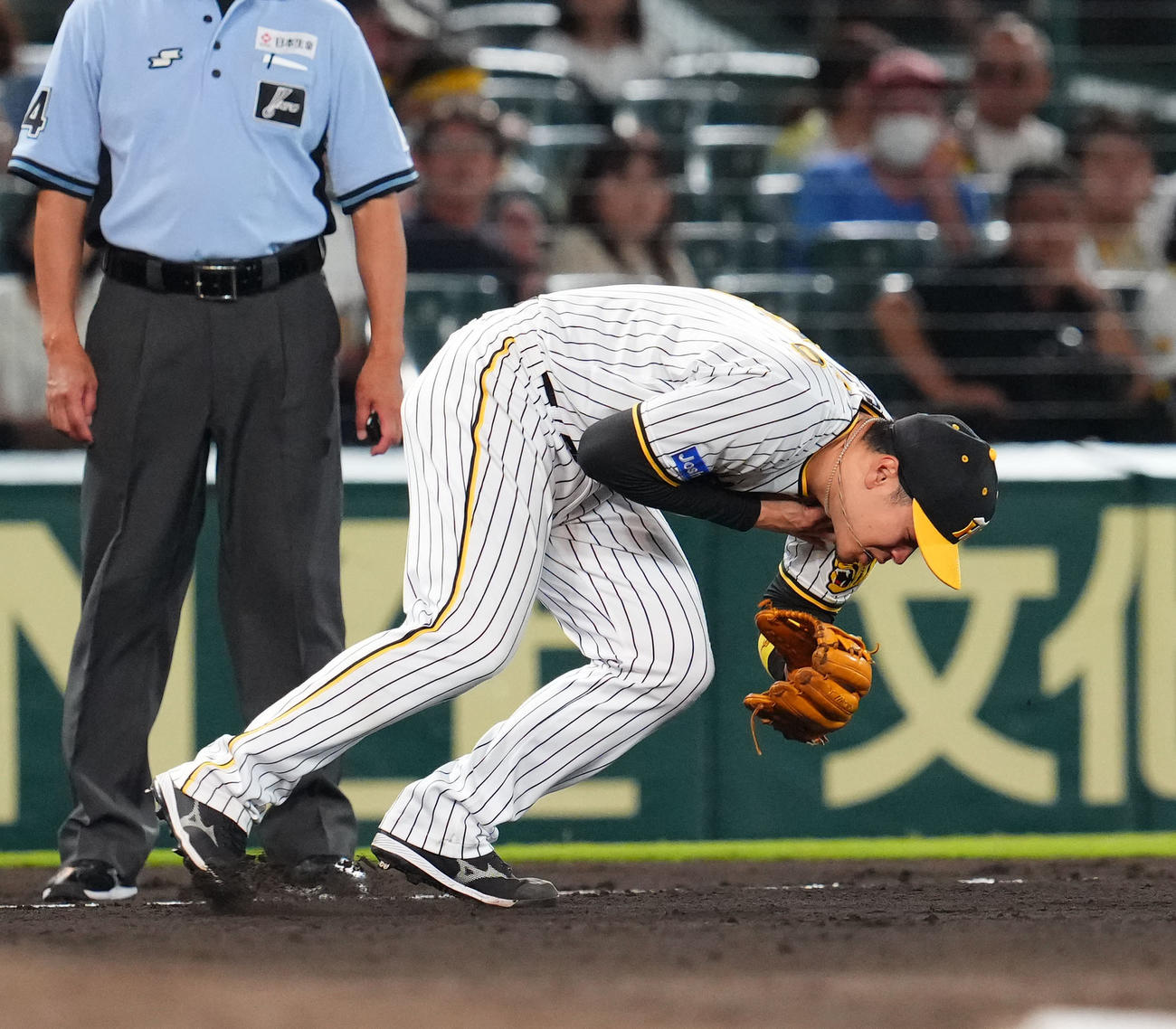 阪神対中日　7回表中日無死、代打福永の打球を左鎖骨付近に受ける阪神三塁手佐藤輝（撮影・藤尾明華）