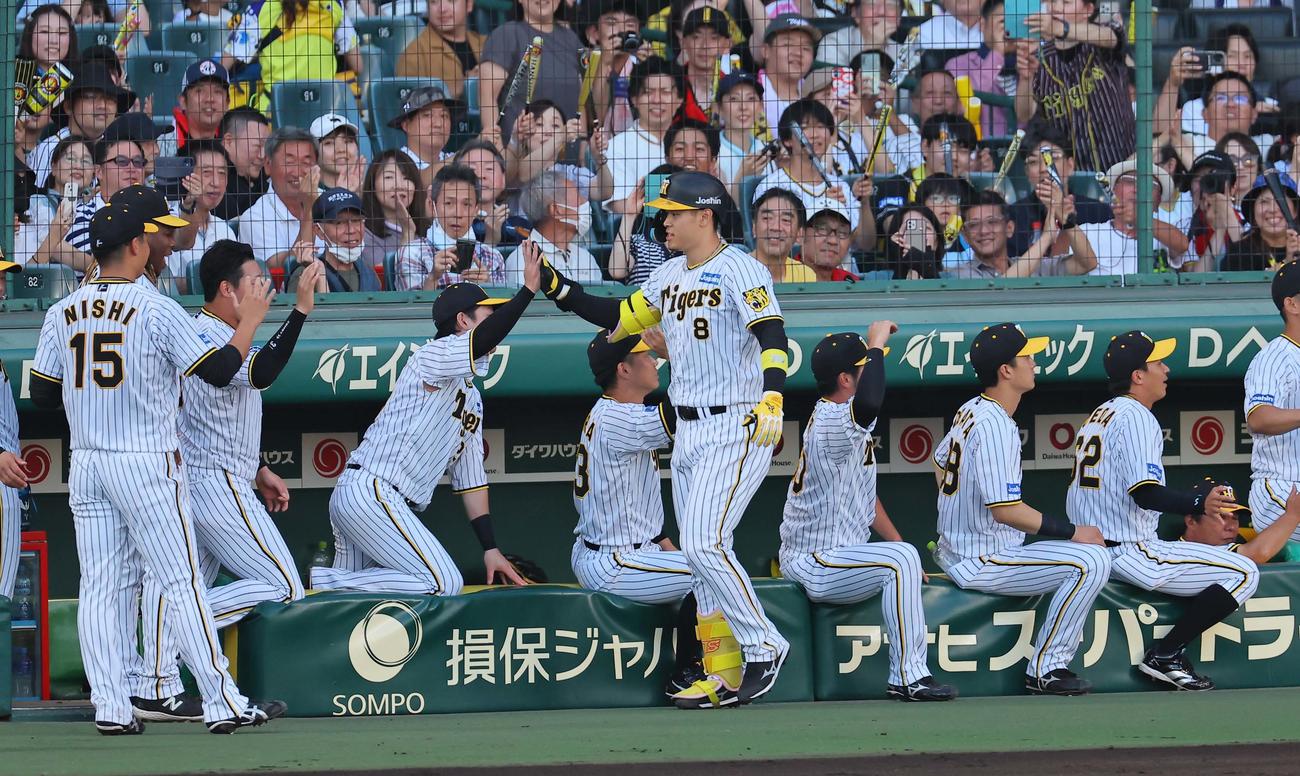 阪神対中日　1回裏阪神2死一、二塁、右中間へ3点本塁打を放った佐藤輝をベンチで出迎える阪神ナイン（撮影・上田博志）