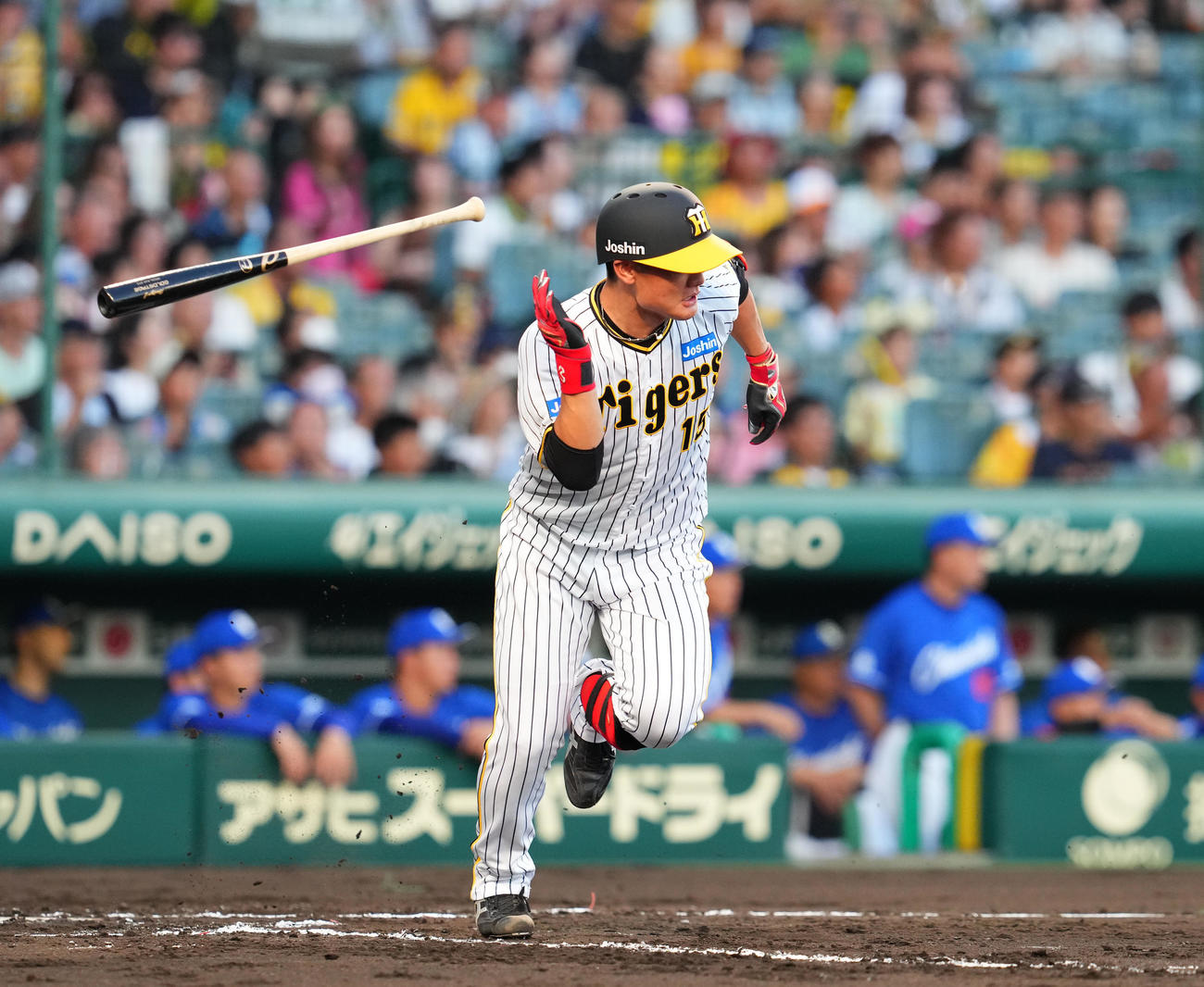 阪神対中日　2回裏阪神1死二塁、西純は中前適時打を放つ（撮影・藤尾明華）