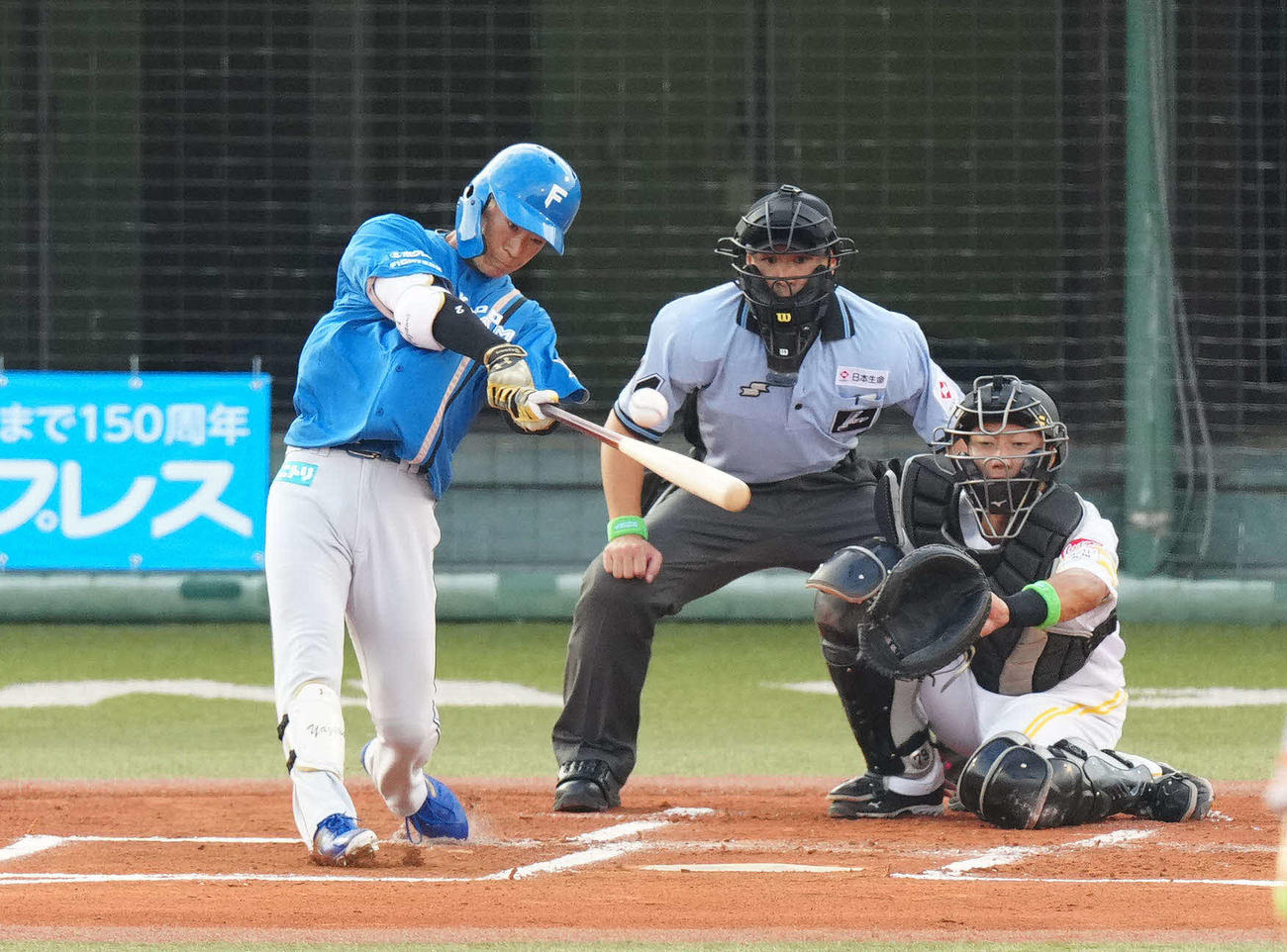 全ウ対全イ　1回表全イ1死一、二塁、中前打を放つ矢沢（撮影・江口和貴）