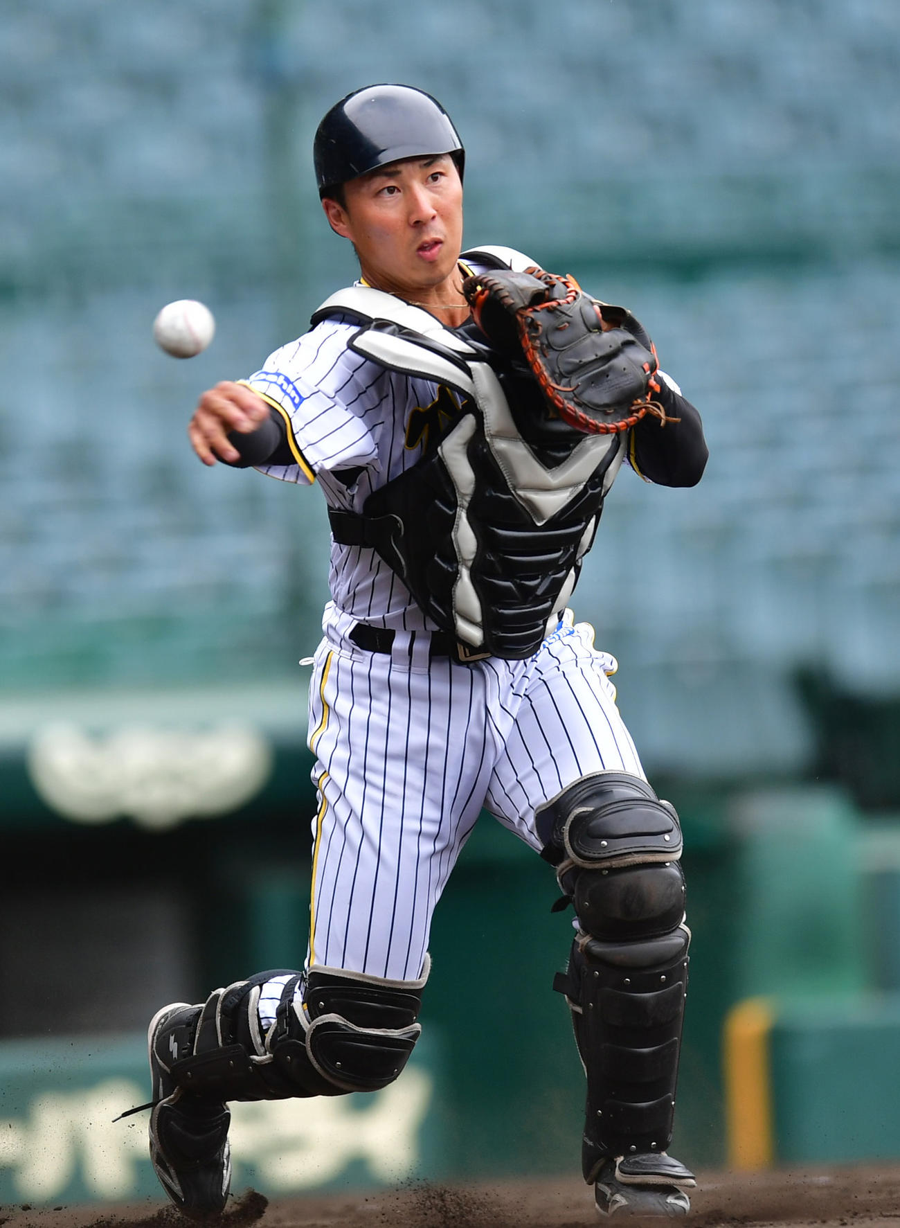 阪神片山雄哉（2022年6月11日撮影）