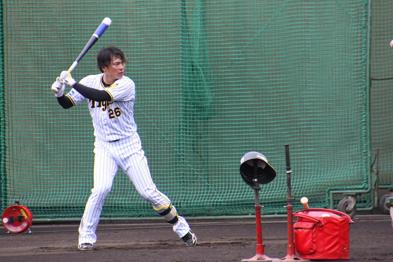 元阪神・横田慎太郎さんの訃報の翌日、2軍鳴尾浜球場で打ち込む北條（撮影・中野椋）