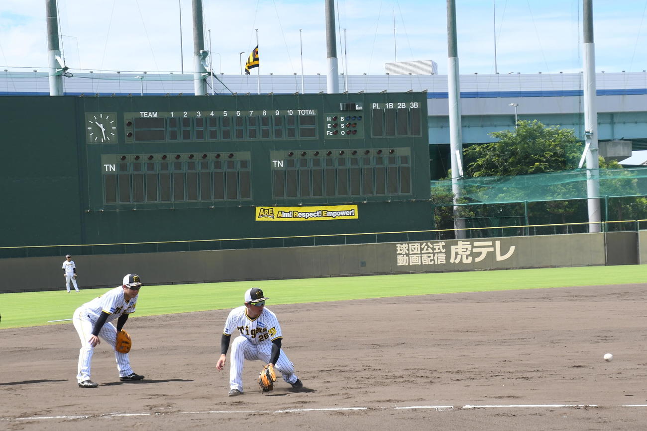 元阪神・横田慎太郎さんの訃報の翌日、半旗が掲げられた2軍鳴尾浜球場でノックを受ける北條（撮影・中野椋）
