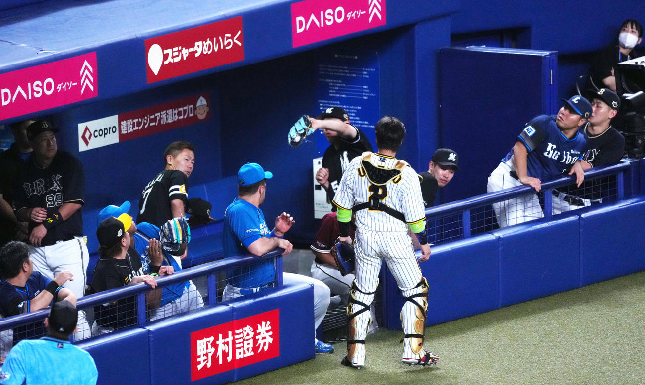全セ対全パ　2回表、ベンチでボールをナイスキャッチし祝福される全パ安田（中央）（撮影・横山健太）