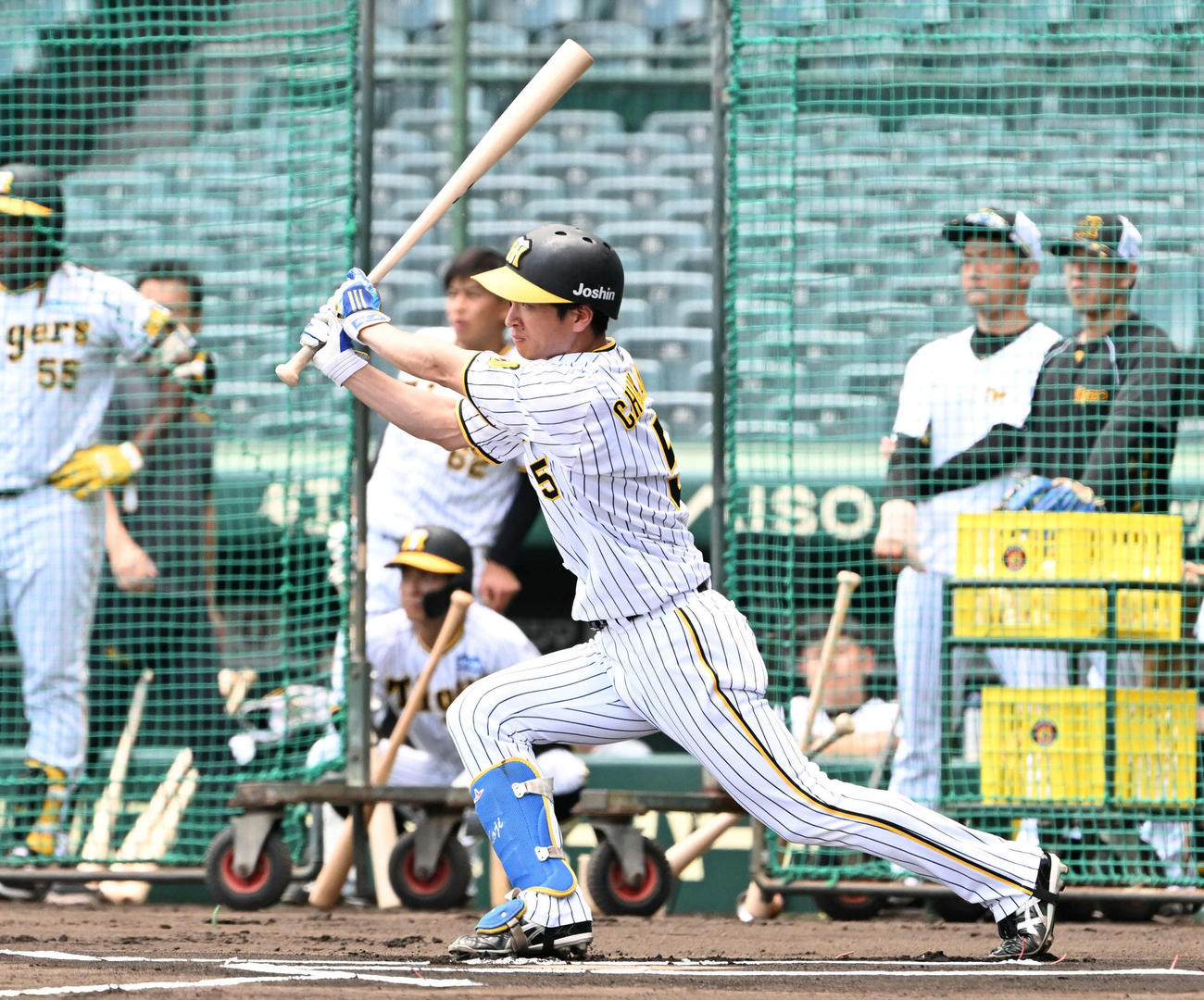 シート打撃で右前安打を放つ阪神近本（撮影・石井愛子）