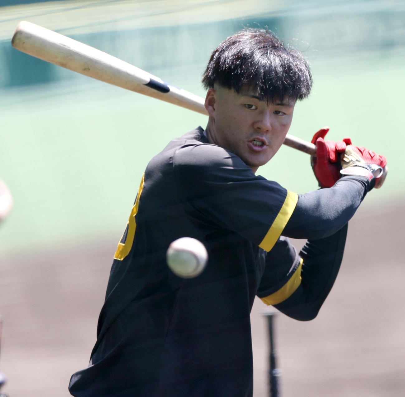 トス打撃する阪神前川（撮影・上山淳一）