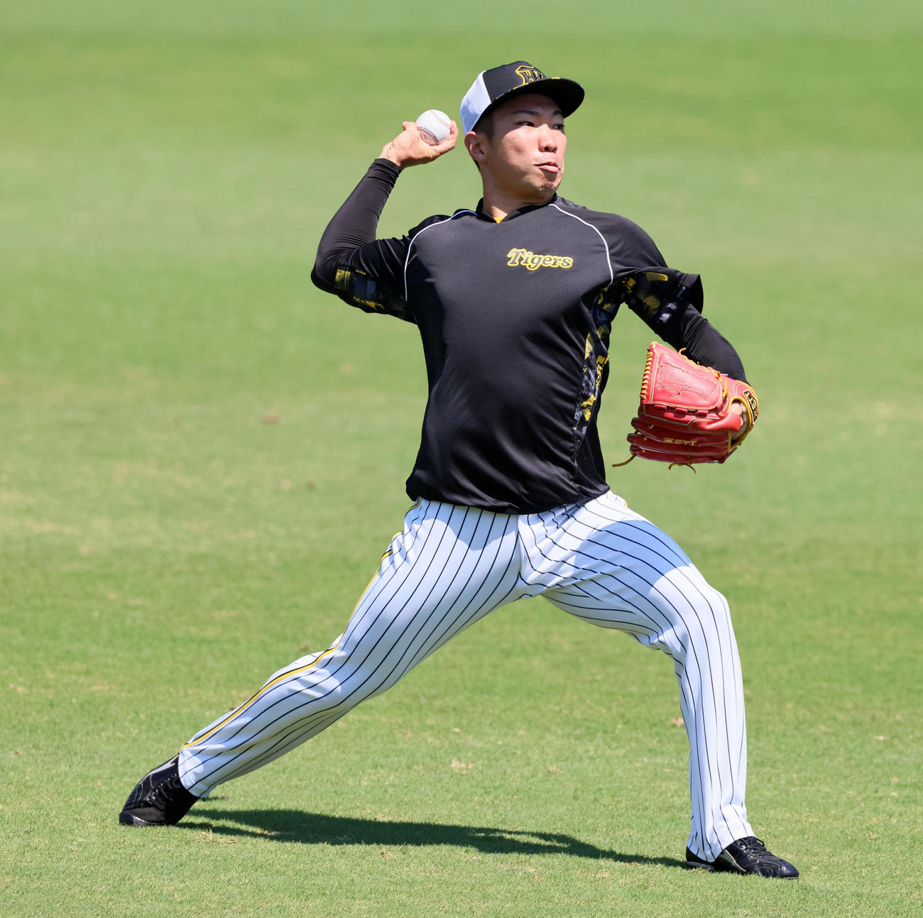 キャッチボールする石井（撮影・加藤哉）