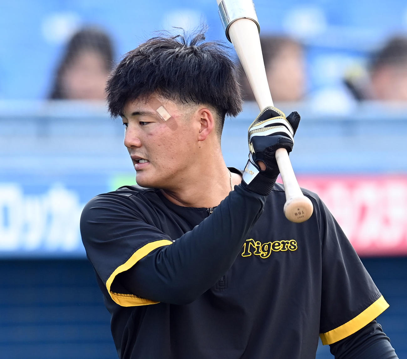 ヤクルト対阪神　左目周辺を負傷した阪神前川だが、ばんそうこうを貼って練習に参加した（撮影・たえ見朱実）