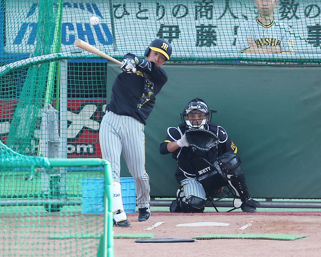 ヤクルト対阪神　試合前、打撃練習する阪神近本（撮影・河田真司）