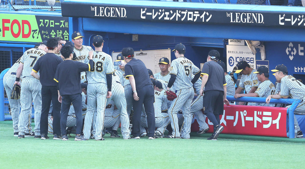 ヤクルト対阪神　試合前円陣を組む阪神ナイン（撮影・河田真司）