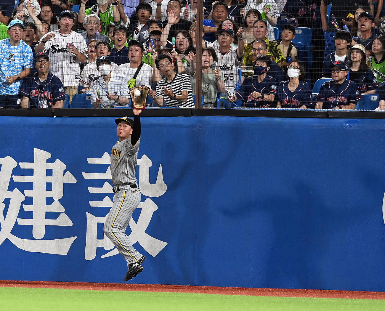 ヤクルト対阪神　4回裏ヤクルト無死一塁、中村の飛球を好捕する森下（撮影・たえ見朱実）