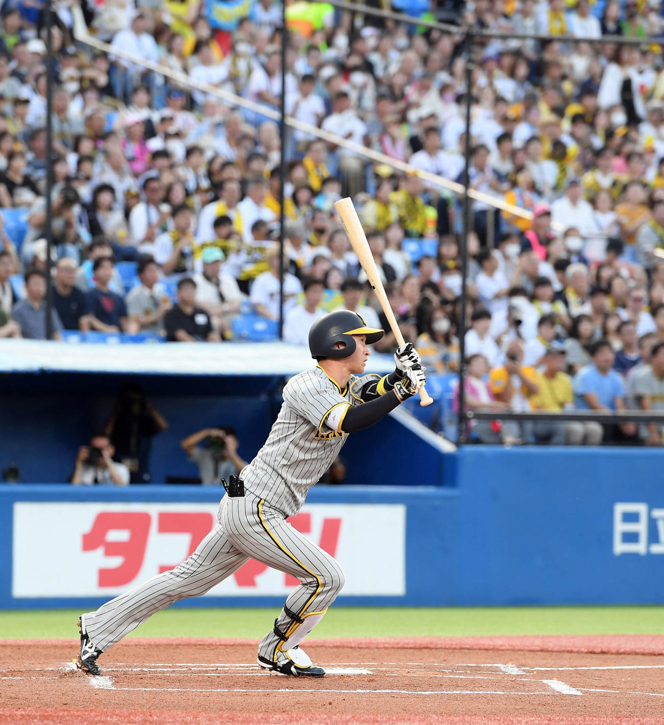 ヤクルト対阪神　1回表阪神無死、右飛に倒れる近本（撮影・たえ見朱実）
