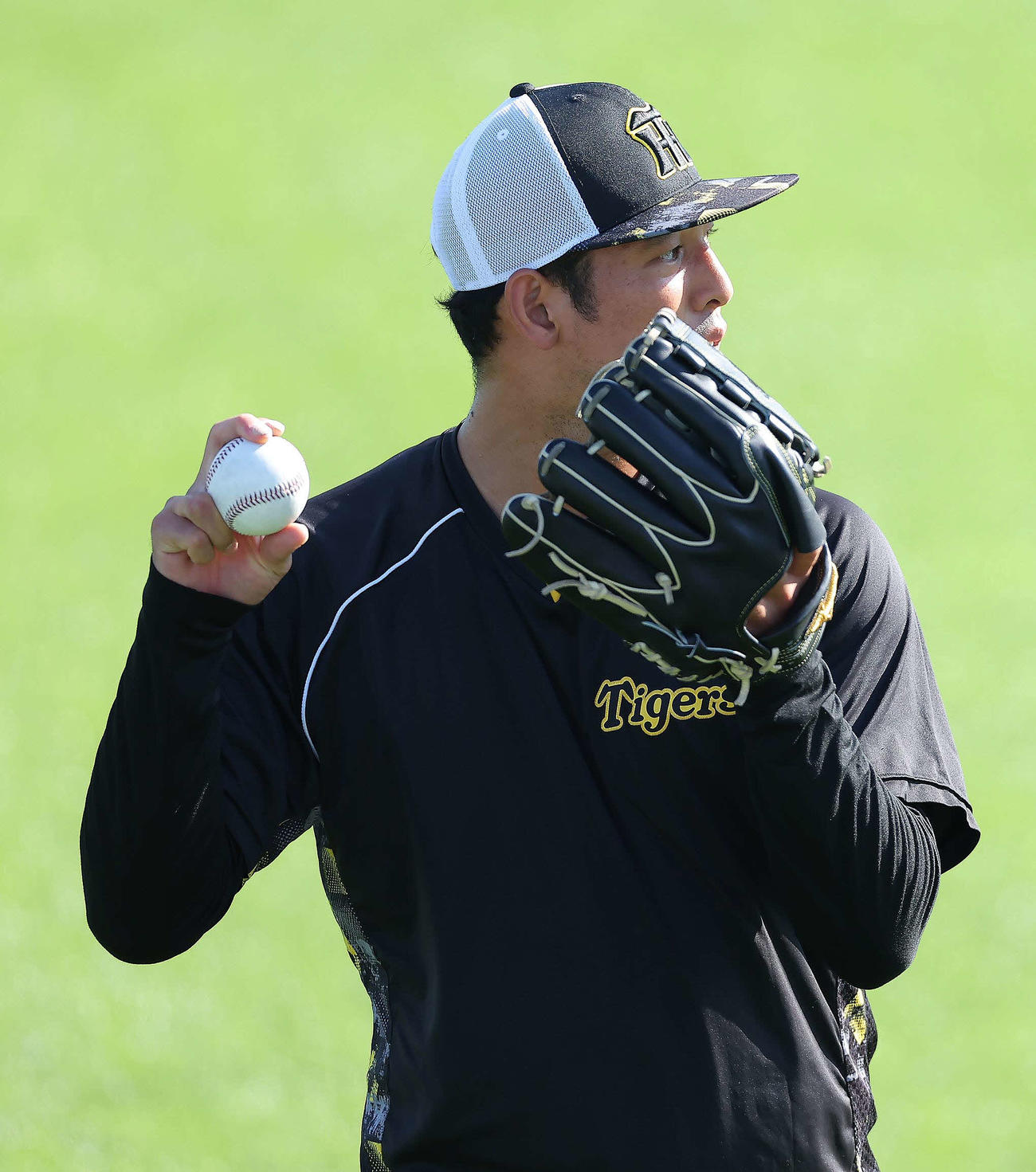 ヤクルト対阪神　試合前、キャッチボールする阪神加治屋（撮影・河田真司）