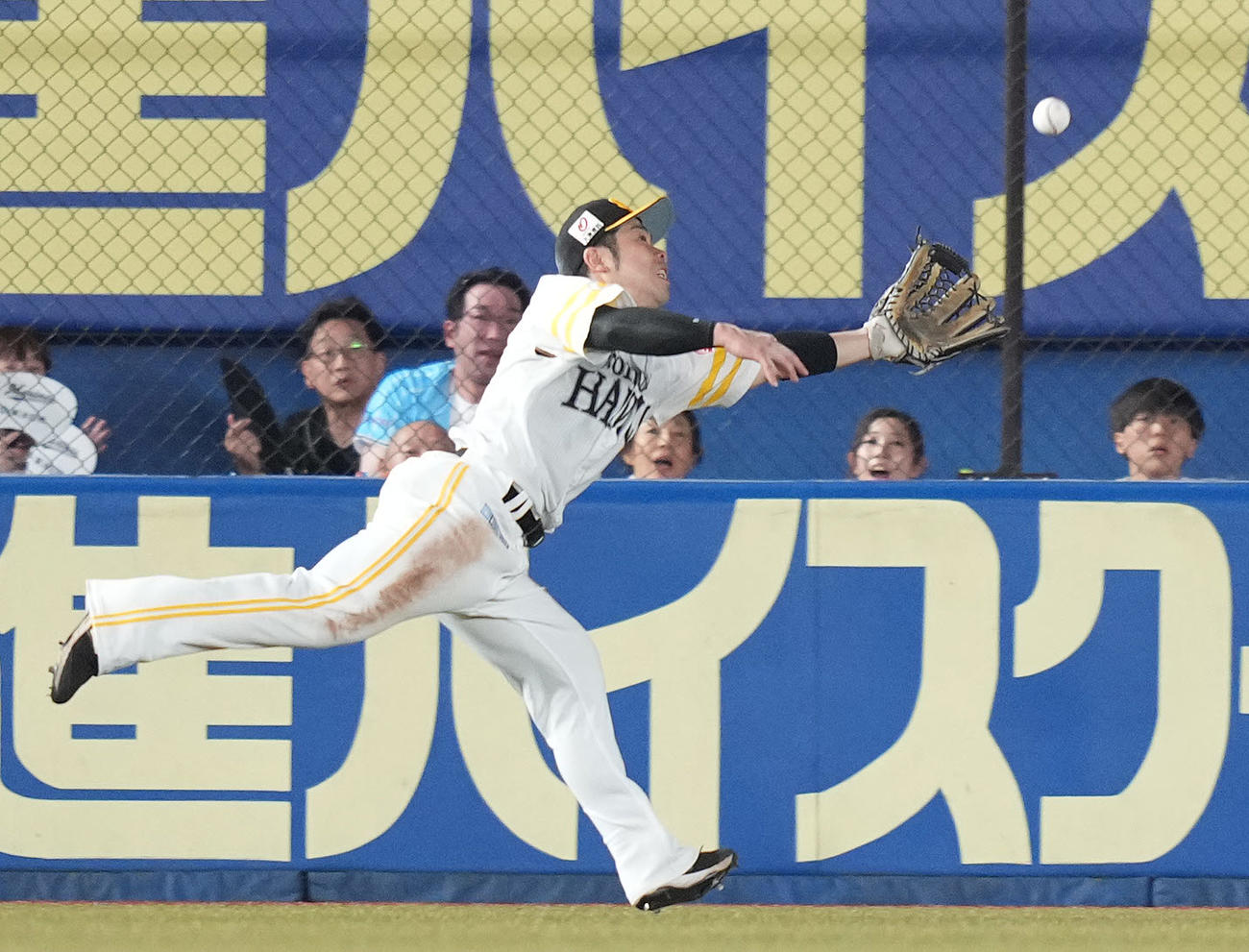 ロッテ対ソフトバンク　7回裏ロッテ無死、佐藤都の打球を好捕する左翼手近藤（撮影・鈴木みどり）
