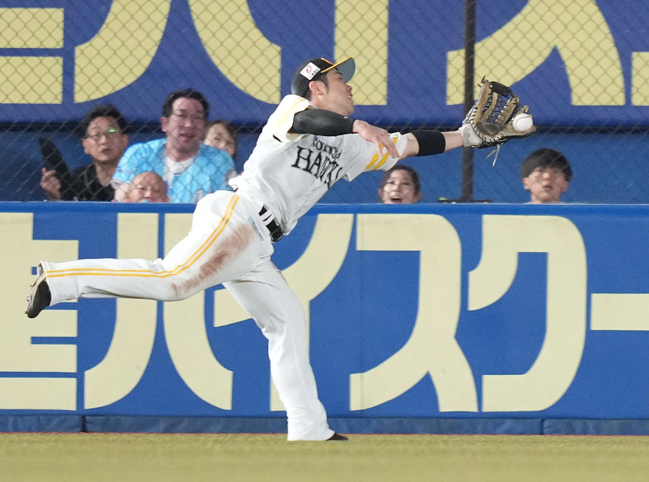 ロッテ対ソフトバンク　7回裏ロッテ無死、佐藤都の左飛を好捕する近藤（撮影・鈴木みどり）