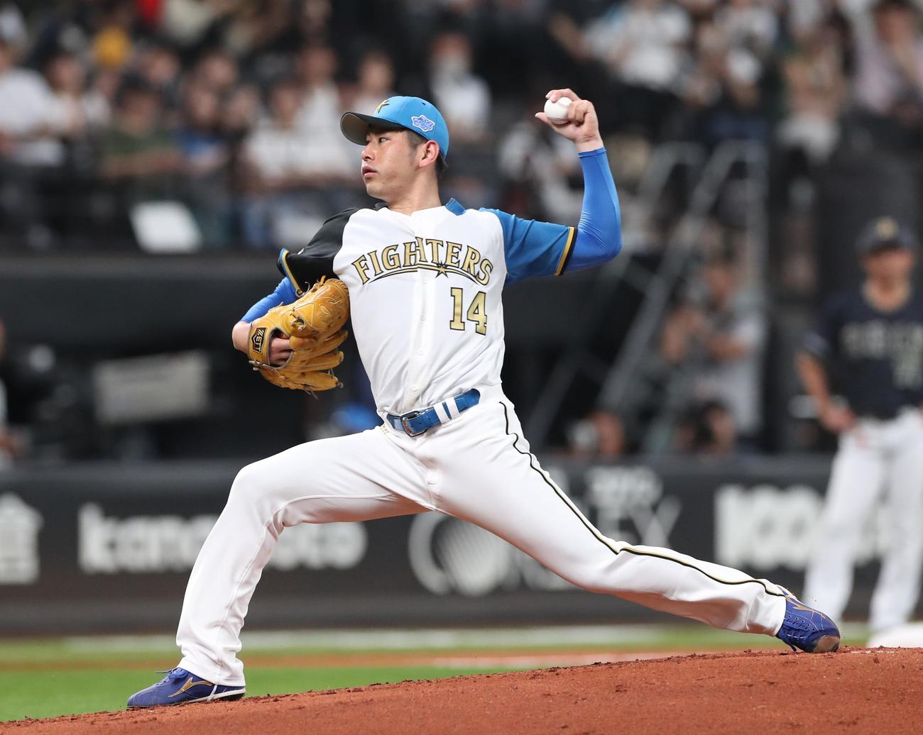 日本ハム加藤貴（2023年6月30日撮影）