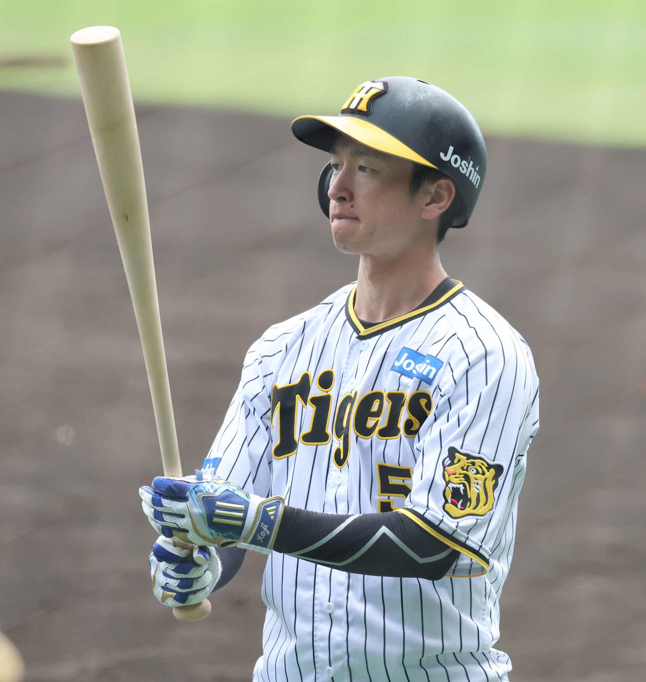 阪神近本光司（2023年7月撮影）