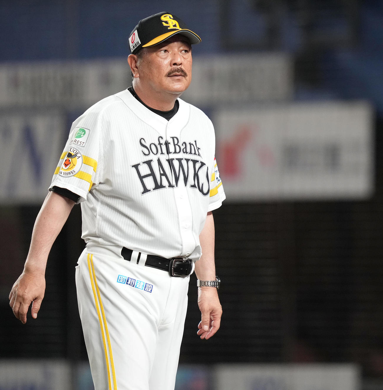 ロッテ対ソフトバンク　8回裏の選手交代を告げベンチへ戻るソフトバンク藤本監督（撮影・鈴木みどり）