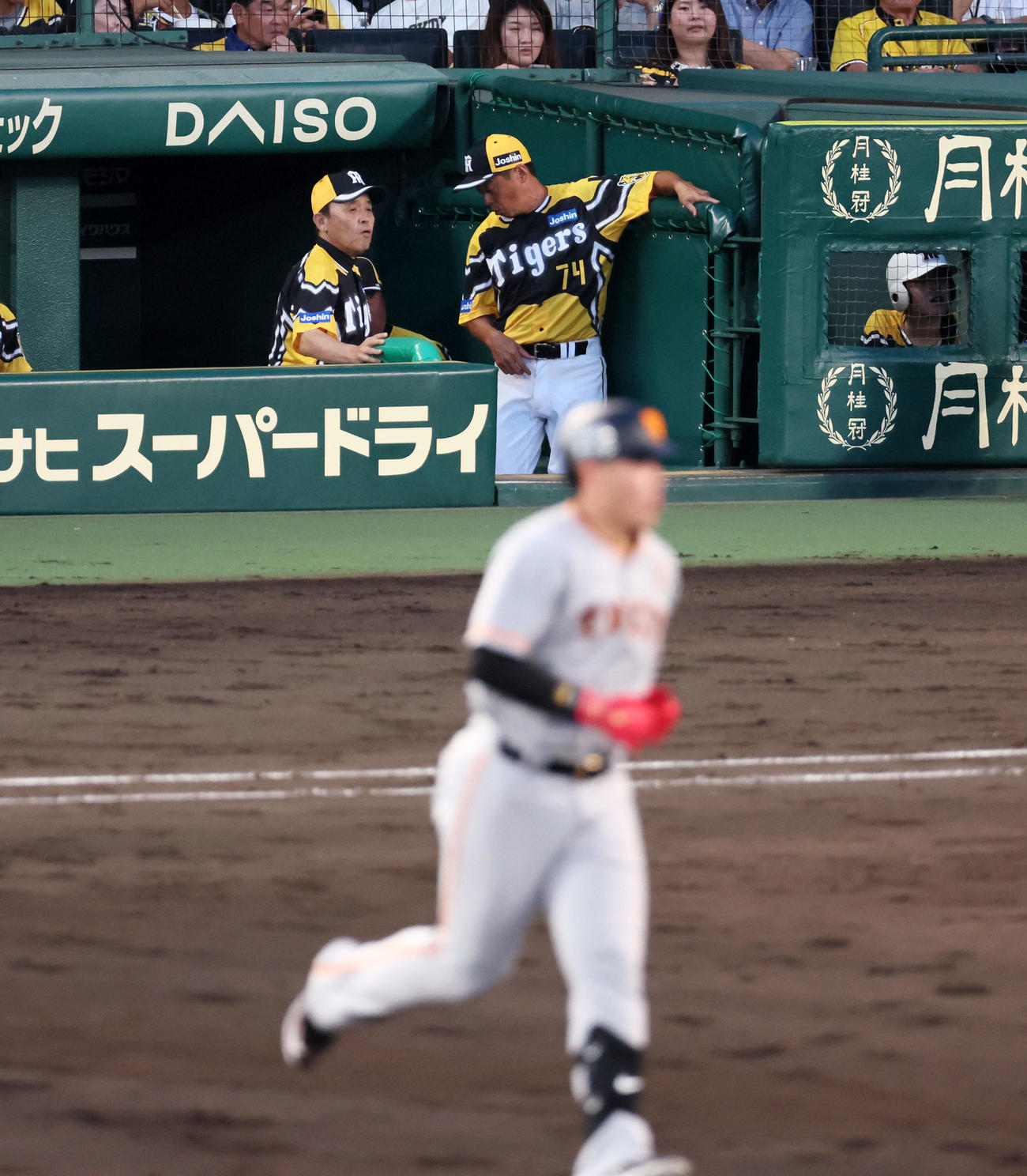 阪神対巨人　4回表巨人無死、岡本和の左越えソロ本塁打にベンチで身を乗り出して確認する岡田監督（撮影・加藤哉）