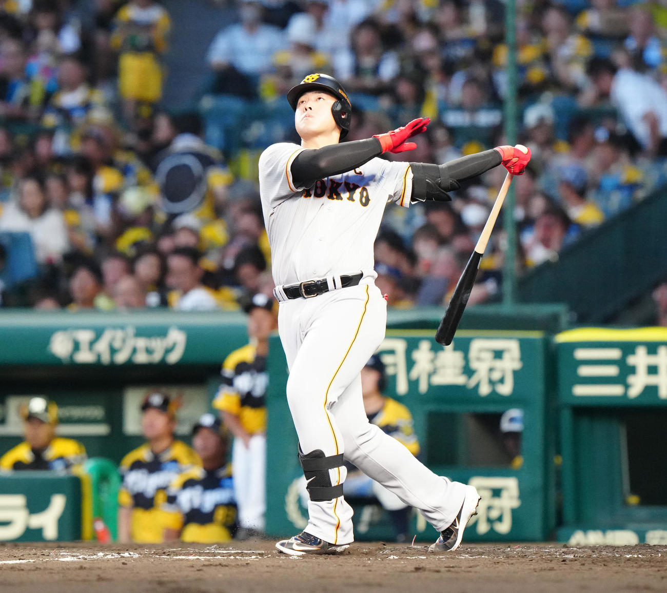 阪神対巨人　4回表巨人無死、左翼ポール際にソロ本塁打を放つ岡本和（撮影・江口和貴）