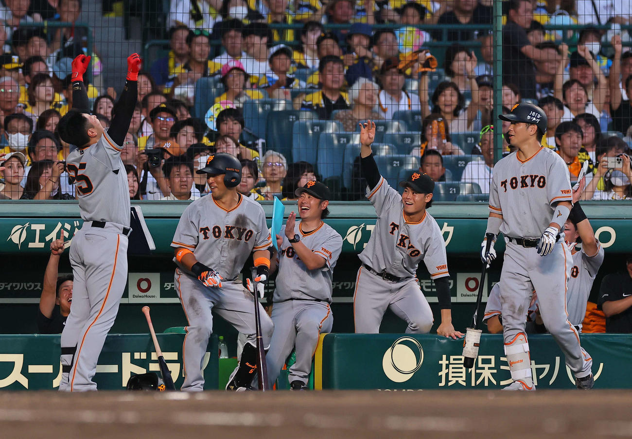 阪神対巨人　4回表巨人無死、岡本和（左）は判定がそのまま左越え同点ソロ本塁打となりベンチ前でガッツポーズをする（撮影・上田博志）