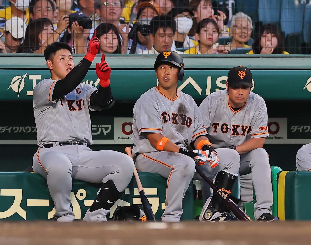 阪神対巨人　4回表巨人無死、岡本和（左）はベンチ前で審判団の判定を待つ。判定はそのまま、左越え同点ソロ本塁打となる（撮影・上田博志）