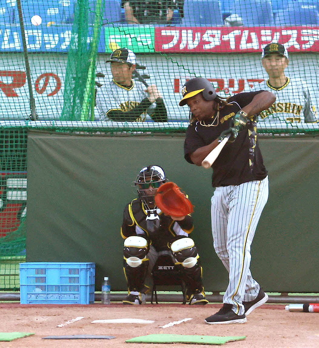 打撃練習する阪神ミエセス（2023年7月23日撮影）