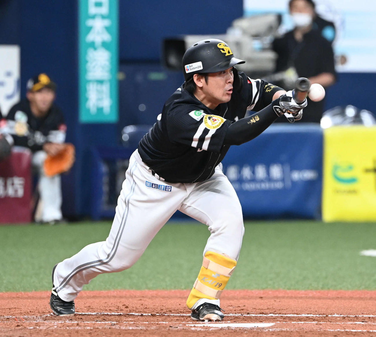 オリックス対ソフトバンク　3回表ソフトバンク無死二塁、投前に犠打を決める甲斐（撮影・和賀正仁）