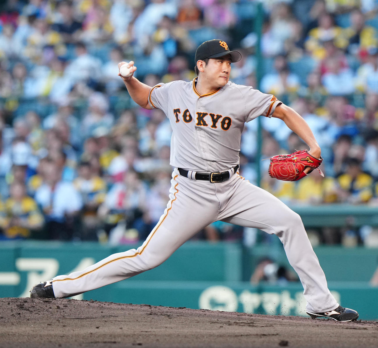 阪神対巨人　巨人先発の菅野（撮影・江口和貴）