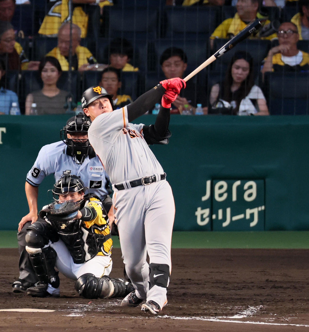 阪神対巨人　4回表巨人無死、岡本和は左越えソロ本塁打を放つ（撮影・加藤哉）