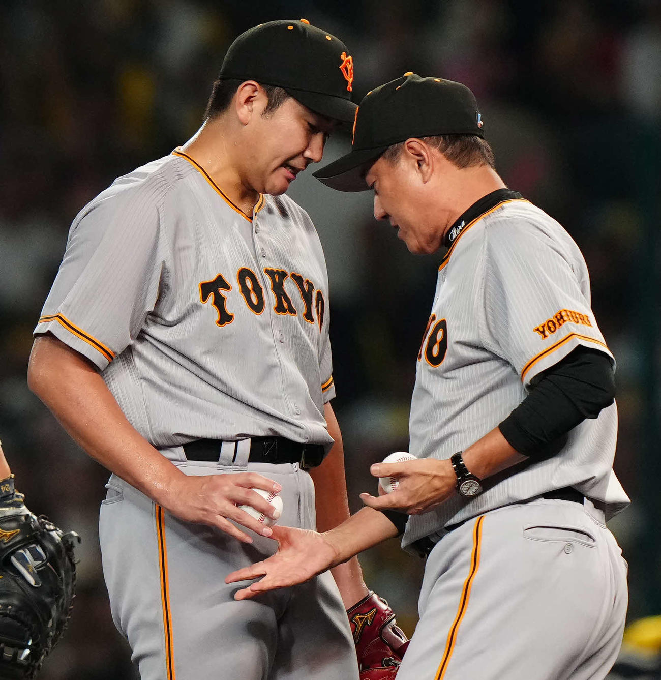 阪神対巨人　6回裏途中で降板する巨人先発の菅野（左）からボールを受け取る原監督（撮影・江口和貴）
