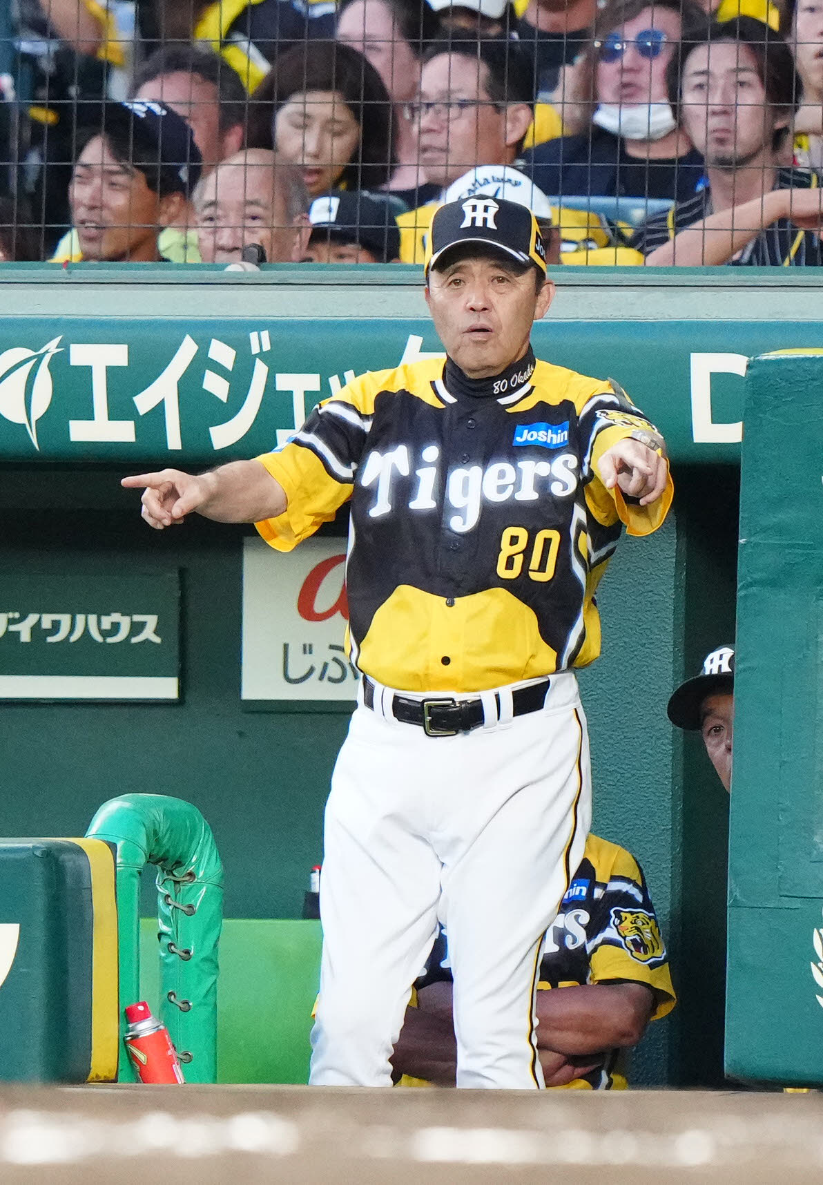 阪神対巨人　4回表巨人無死、岡本和のソロ本塁打の判定にリクエストする岡田監督（撮影・江口和貴）